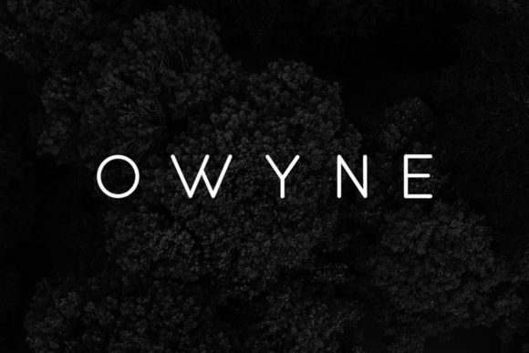 Elevating Visual Communication with Owyne