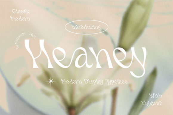 Heaney: A Whimsical Touch for Your Creative Projects
