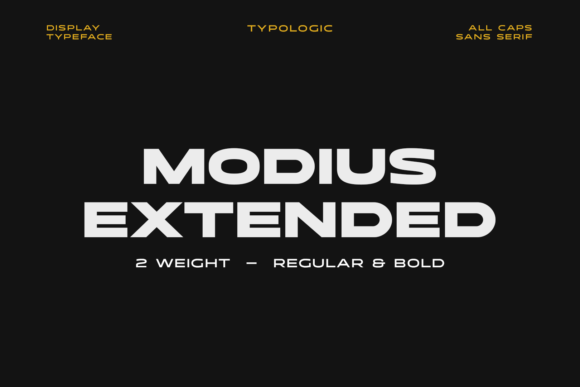 Modius Extended: A Strategic Evaluation for Modern Digital Design