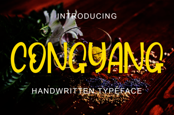 Unlocking Creativity with Congyang: A Quirky Solution for Modern Design Projects